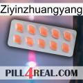 Ziyinzhuangyang 26